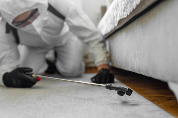 Professional Fumigation Services technician working in Lake County County, OH